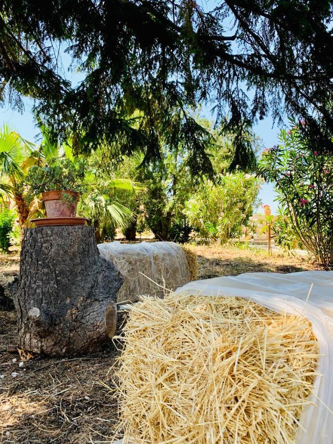 Вилла Trulli Pietra Viva Альберобелло Экстерьер фото